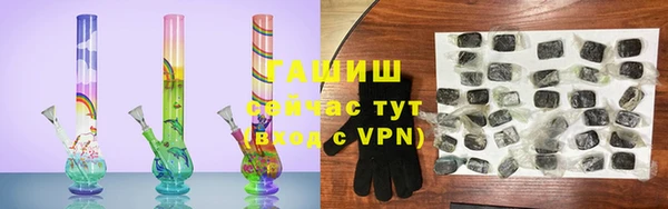 прущие грибы Белокуриха