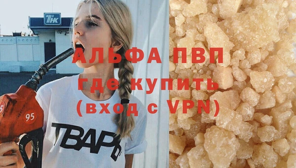 прущие грибы Белокуриха