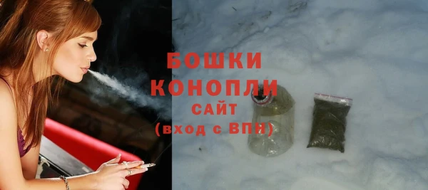 прущие грибы Белокуриха