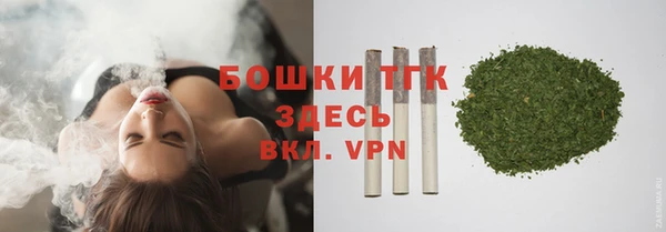 прущие грибы Белокуриха