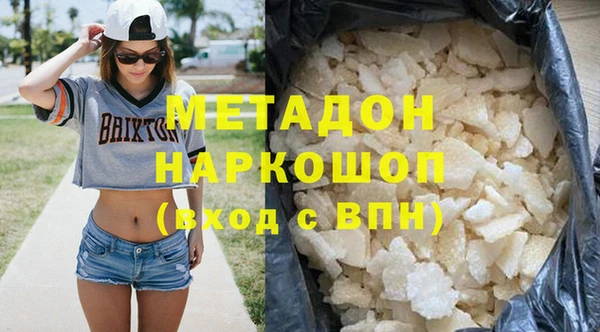 прущие грибы Белокуриха