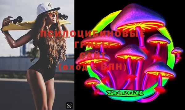 прущие грибы Белокуриха